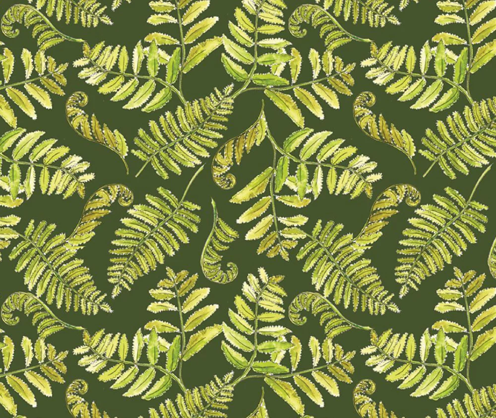 A Country Walk - Ferns Green